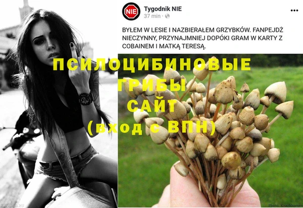 MDMA Няндома