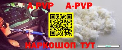 спиды Бийск