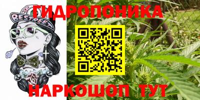винт Камышлов