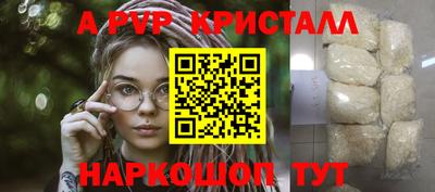 спиды Бийск