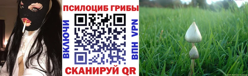 Галлюциногенные грибы мицелий Кинешма