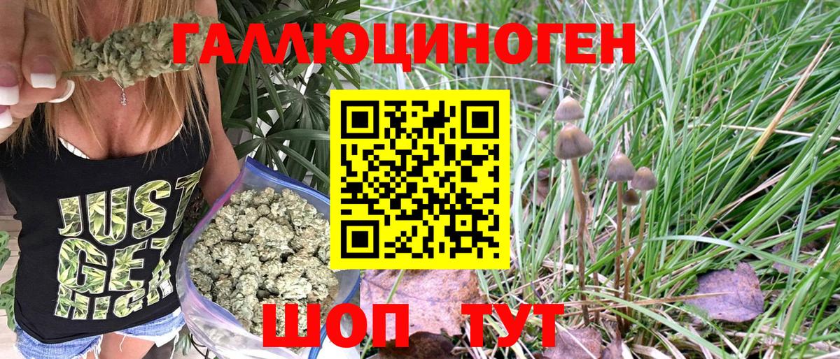 Галлюциногенные грибы Psilocybe  Вход с VPN  Кинешма 