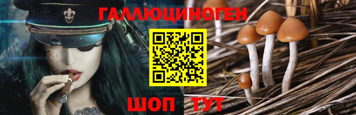 Псилоцибиновые грибы мухоморы  Кинешма 