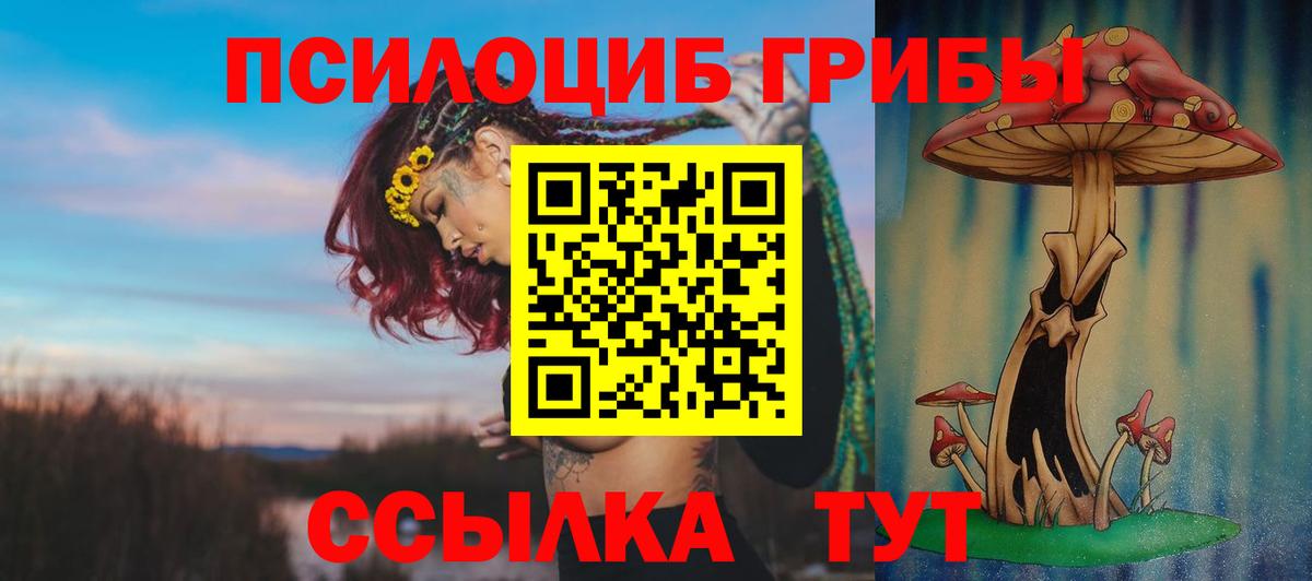 Псилоцибиновые грибы мухоморы Кинешма