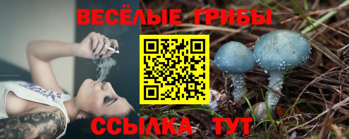Псилоцибиновые грибы Cubensis Кинешма