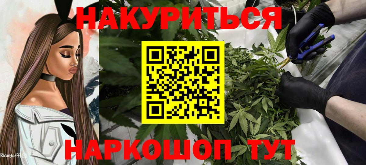 Каннабис сатива  Вход с VPN  Каннабис SATIVA & INDICA  МАРИХУАНА марихуана  Кинешма 